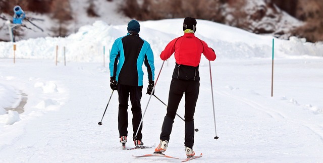 lyžařské běžkování