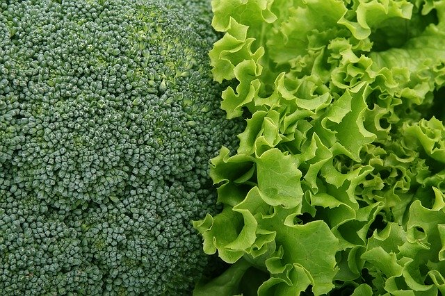 brokolice vs. salát